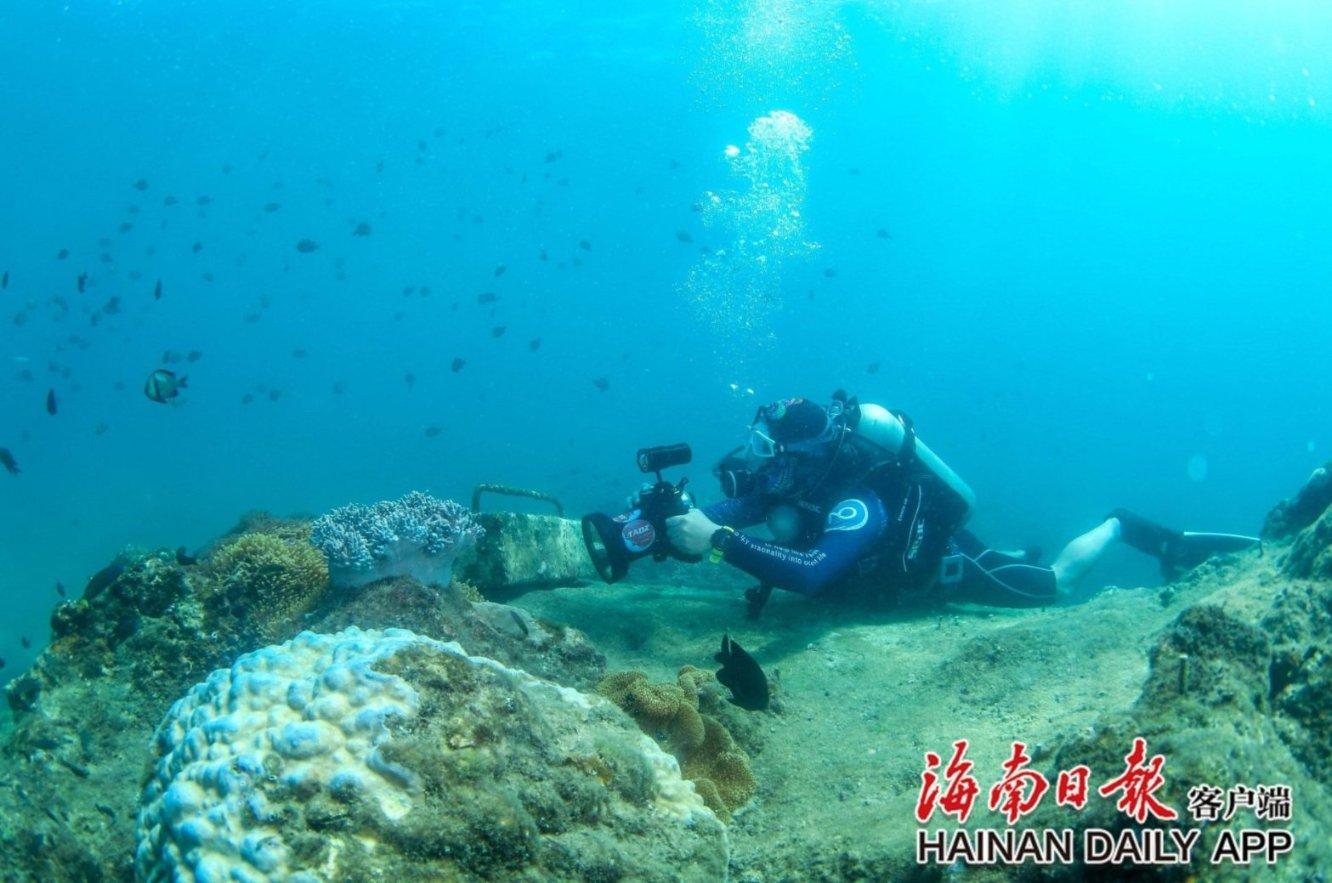 空中大战斗